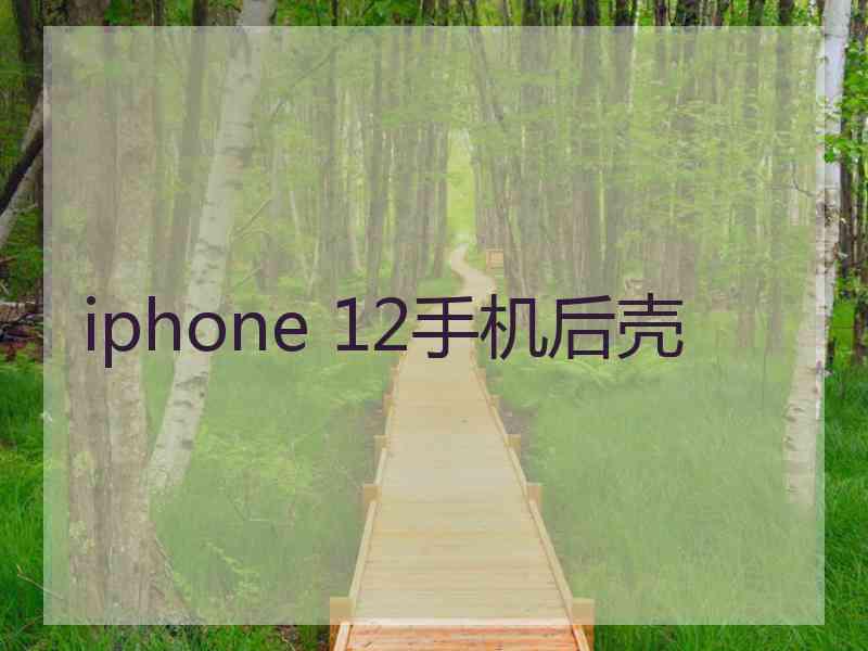 iphone 12手机后壳