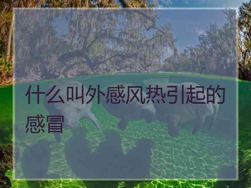 什么叫外感风热引起的感冒