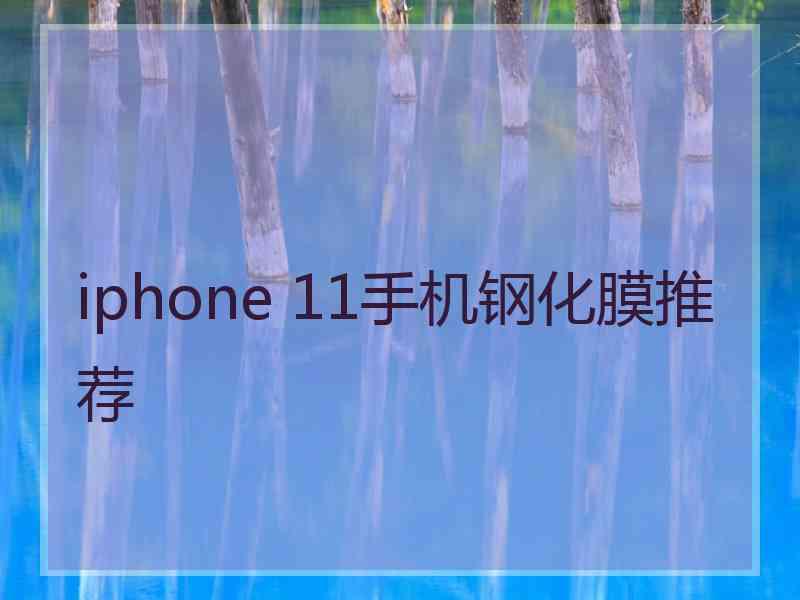 iphone 11手机钢化膜推荐