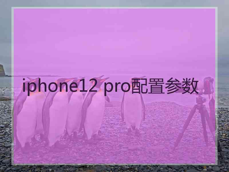 iphone12 pro配置参数