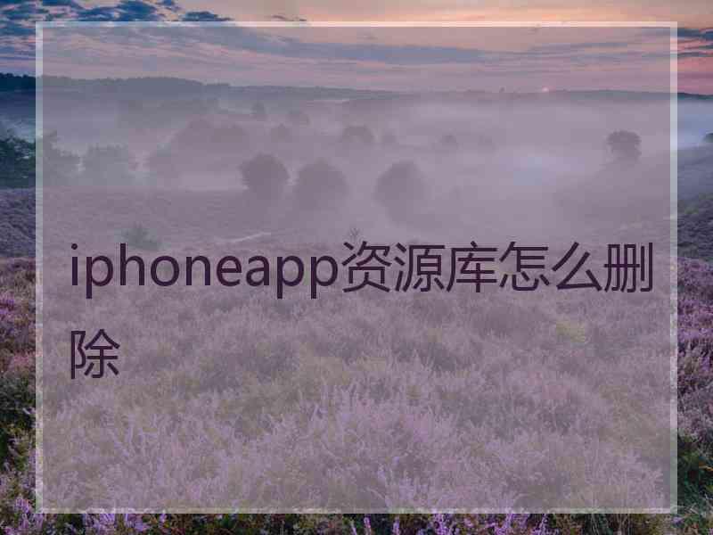 iphoneapp资源库怎么删除