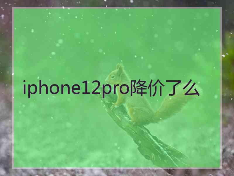 iphone12pro降价了么