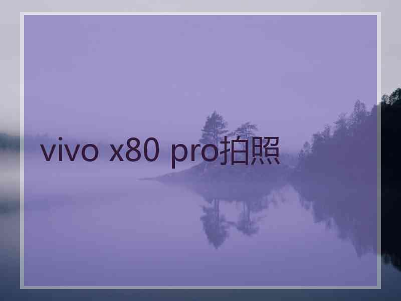 vivo x80 pro拍照