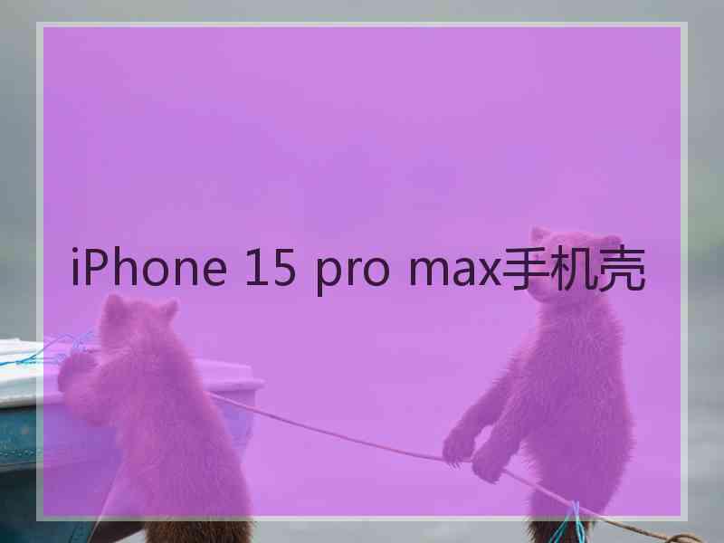 iPhone 15 pro max手机壳