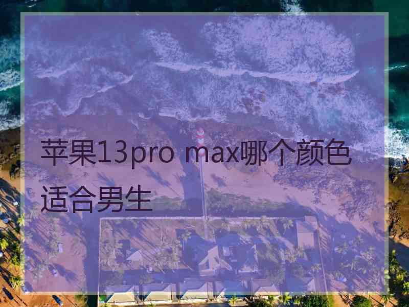 苹果13pro max哪个颜色适合男生