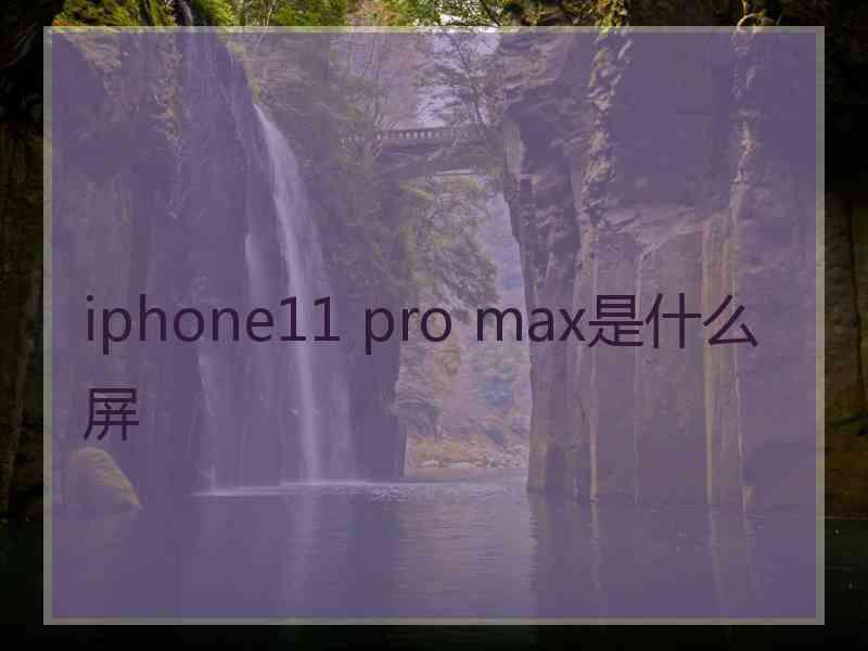 iphone11 pro max是什么屏