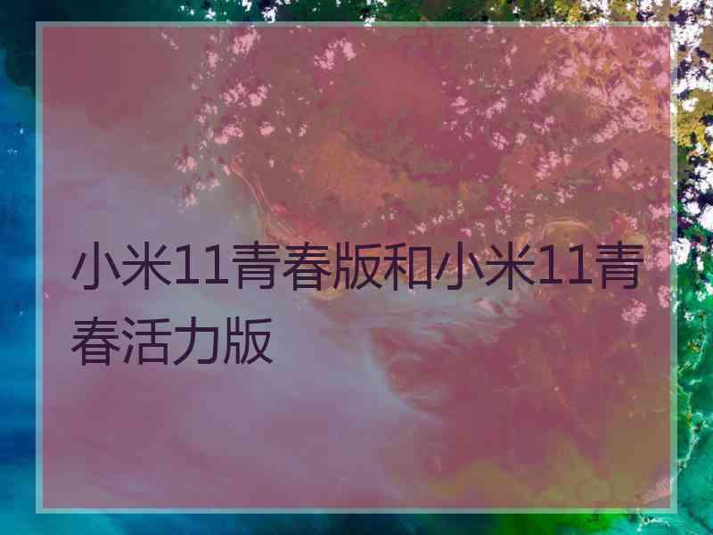 小米11青春版和小米11青春活力版