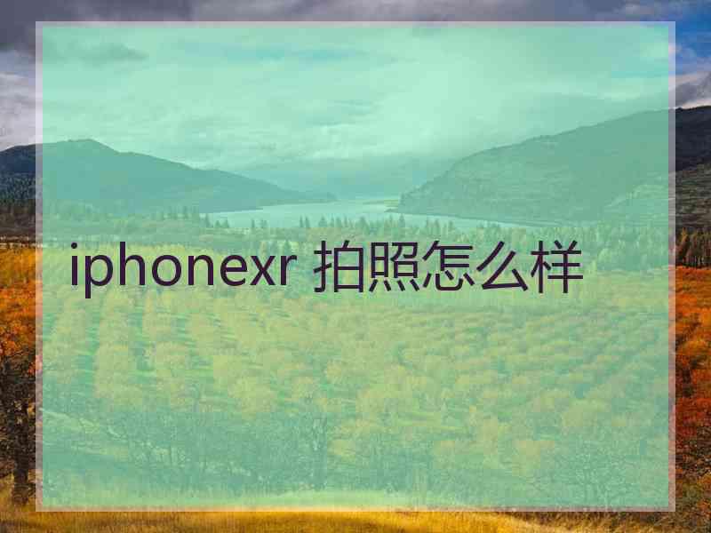 iphonexr 拍照怎么样