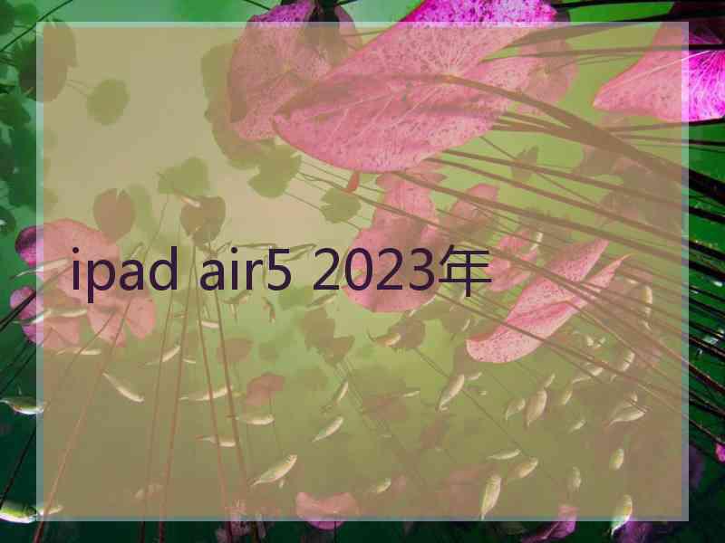 ipad air5 2023年