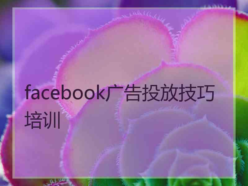 facebook广告投放技巧培训