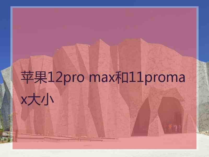 苹果12pro max和11promax大小