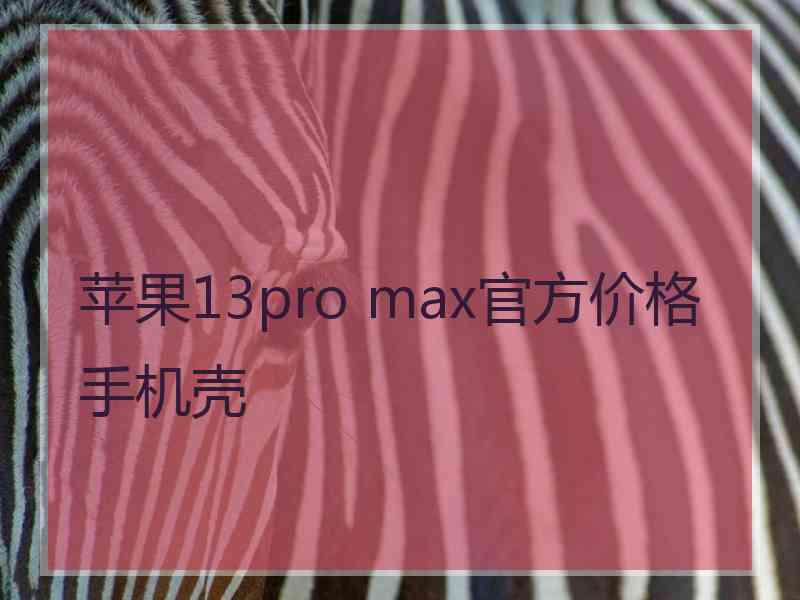 苹果13pro max官方价格手机壳