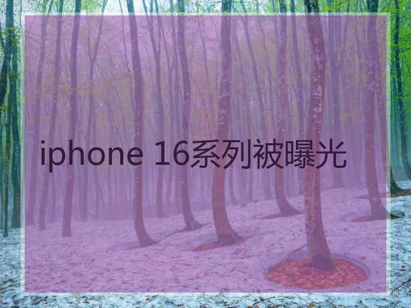 iphone 16系列被曝光