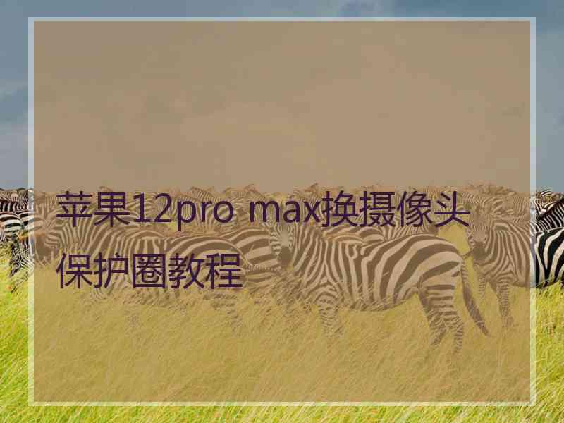 苹果12pro max换摄像头保护圈教程