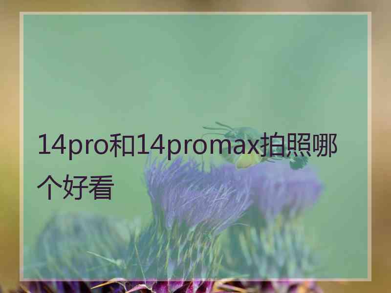 14pro和14promax拍照哪个好看