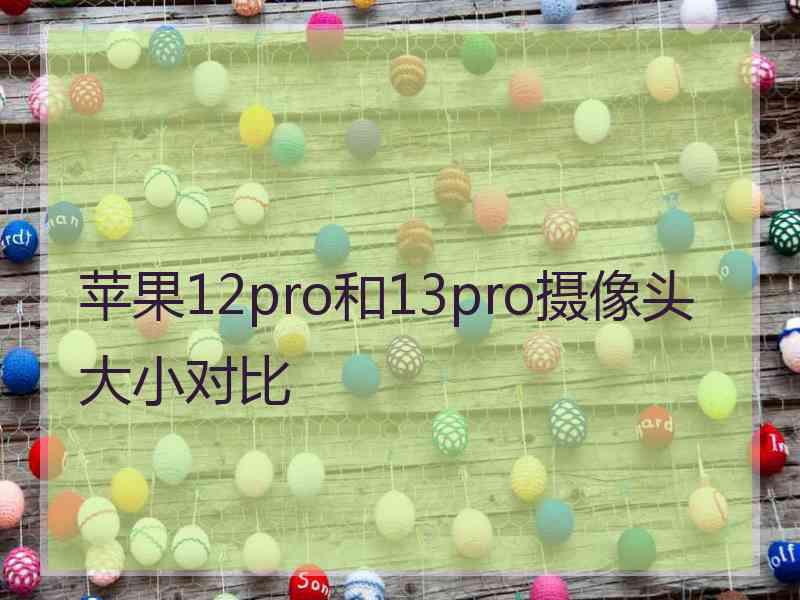 苹果12pro和13pro摄像头大小对比