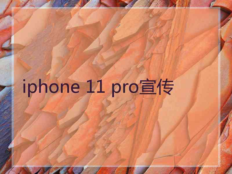 iphone 11 pro宣传