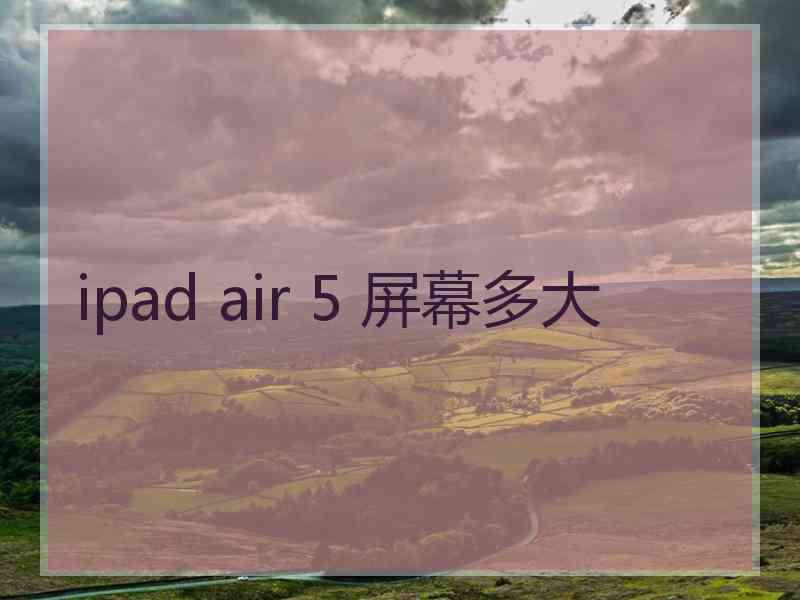 ipad air 5 屏幕多大