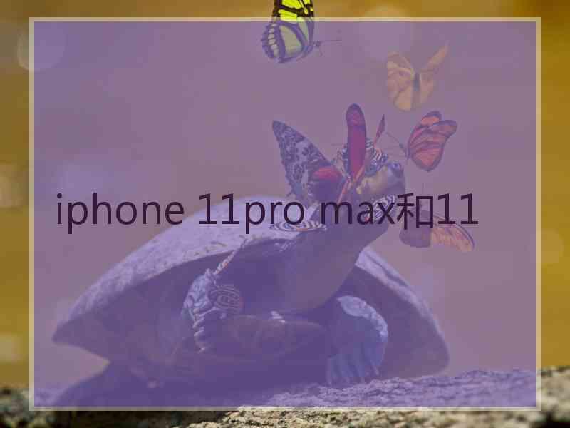 iphone 11pro max和11