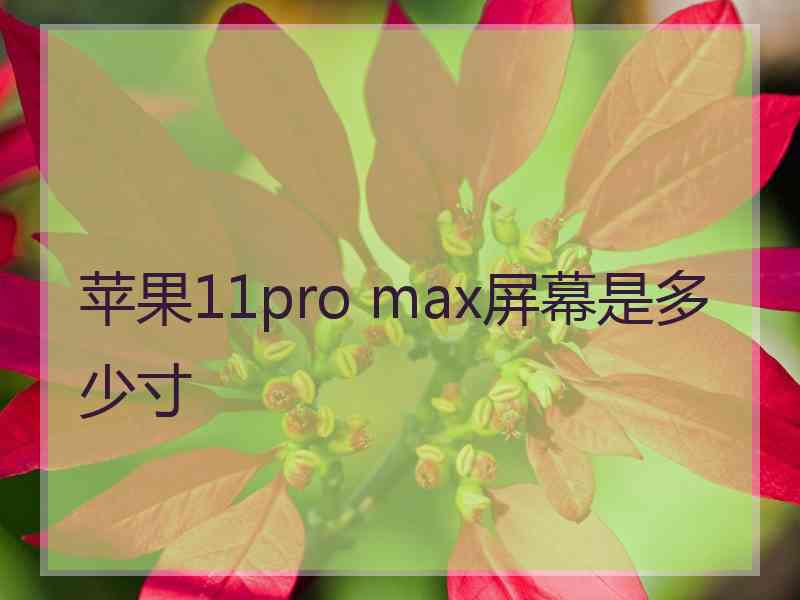 苹果11pro max屏幕是多少寸