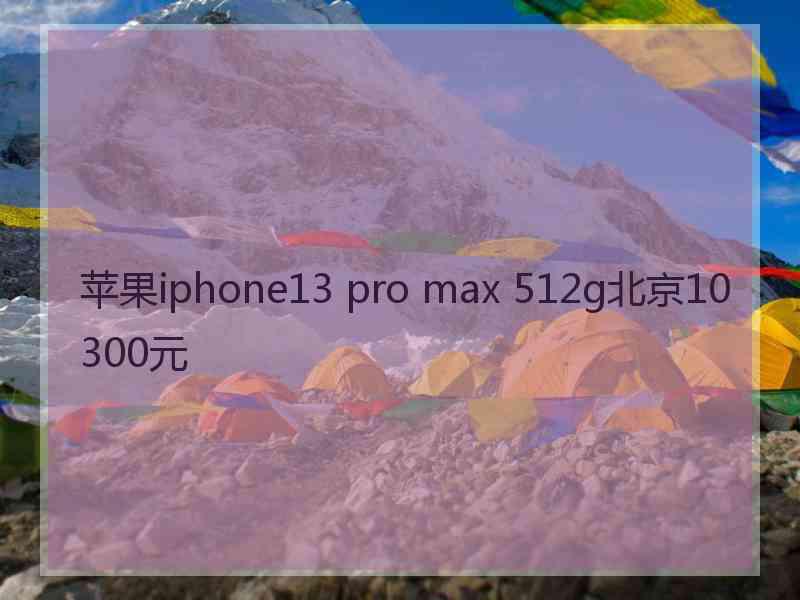 苹果iphone13 pro max 512g北京10300元