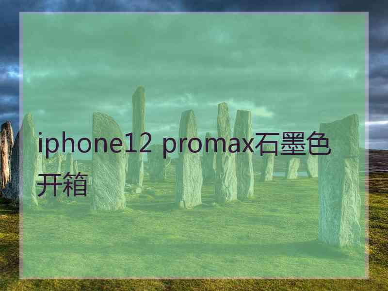 iphone12 promax石墨色开箱