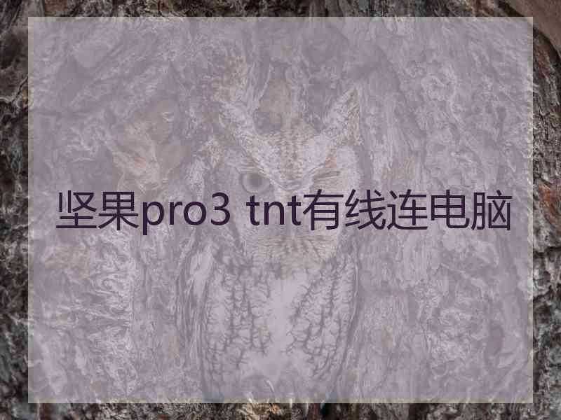 坚果pro3 tnt有线连电脑