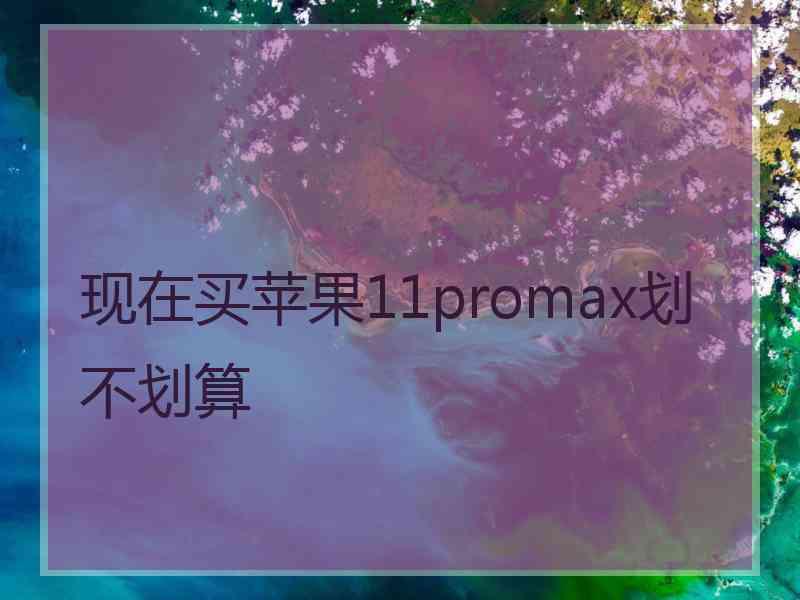 现在买苹果11promax划不划算