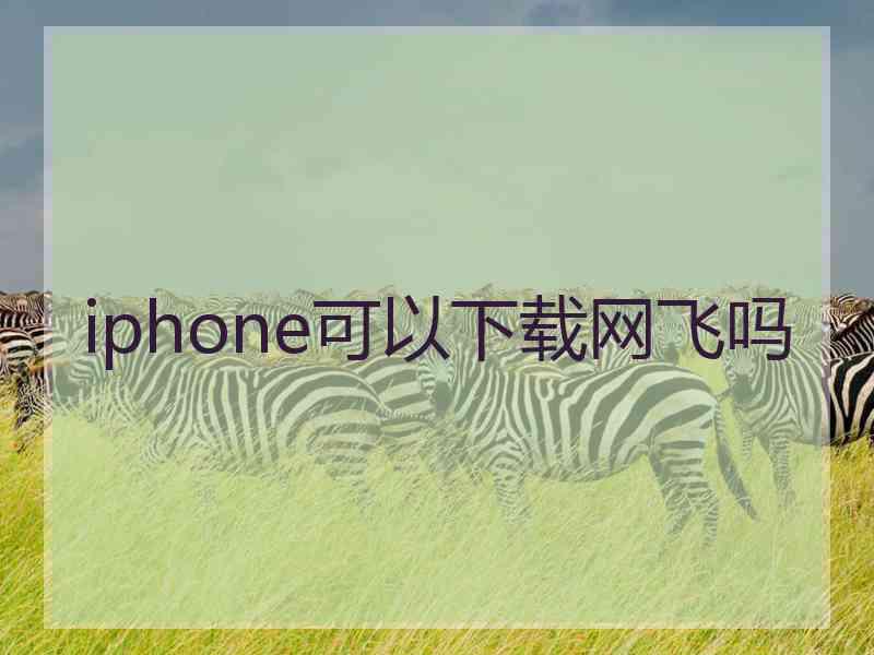 iphone可以下载网飞吗