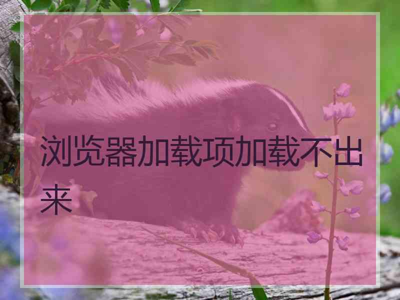 浏览器加载项加载不出来