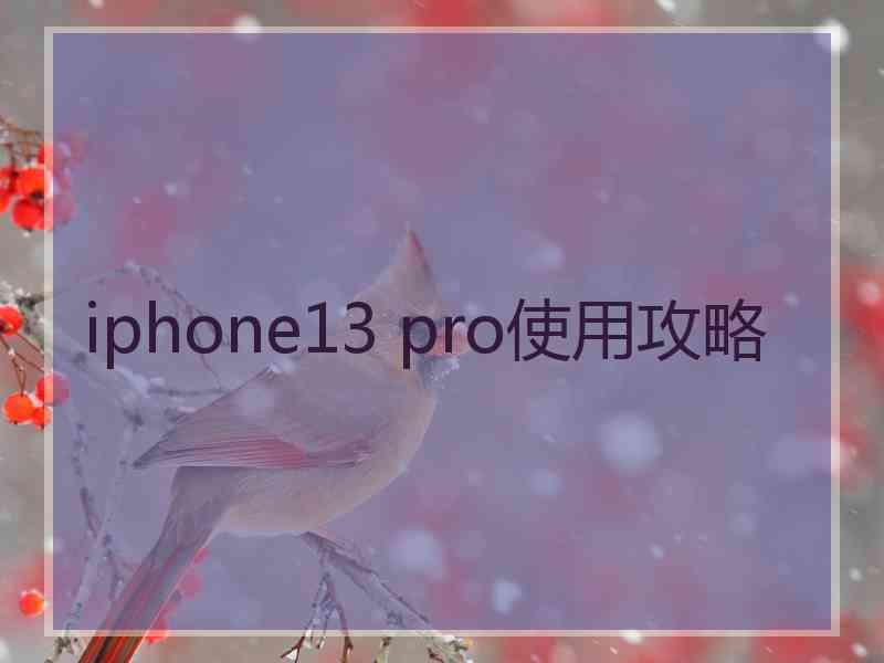 iphone13 pro使用攻略