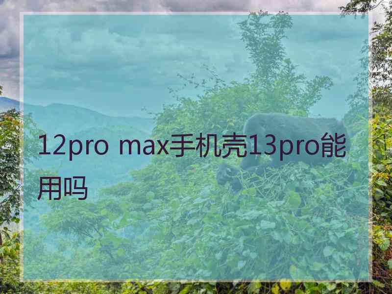 12pro max手机壳13pro能用吗