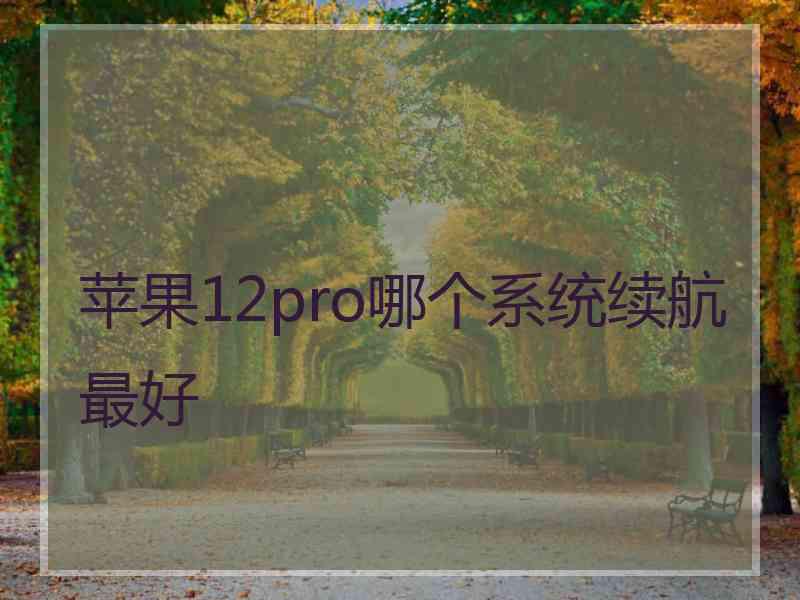 苹果12pro哪个系统续航最好