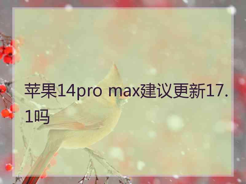 苹果14pro max建议更新17.1吗