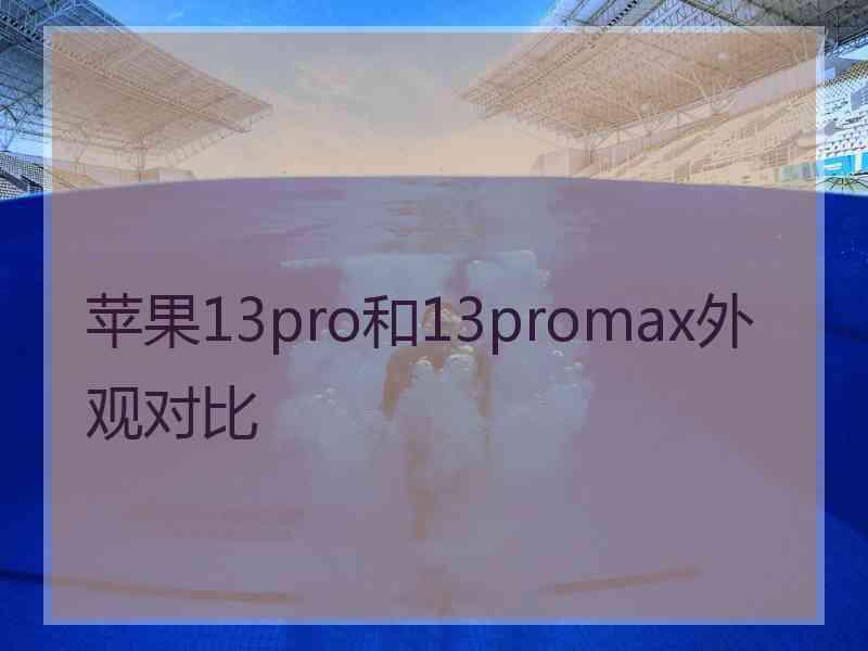 苹果13pro和13promax外观对比