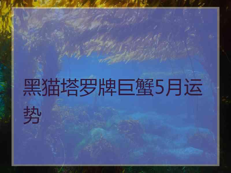 黑猫塔罗牌巨蟹5月运势