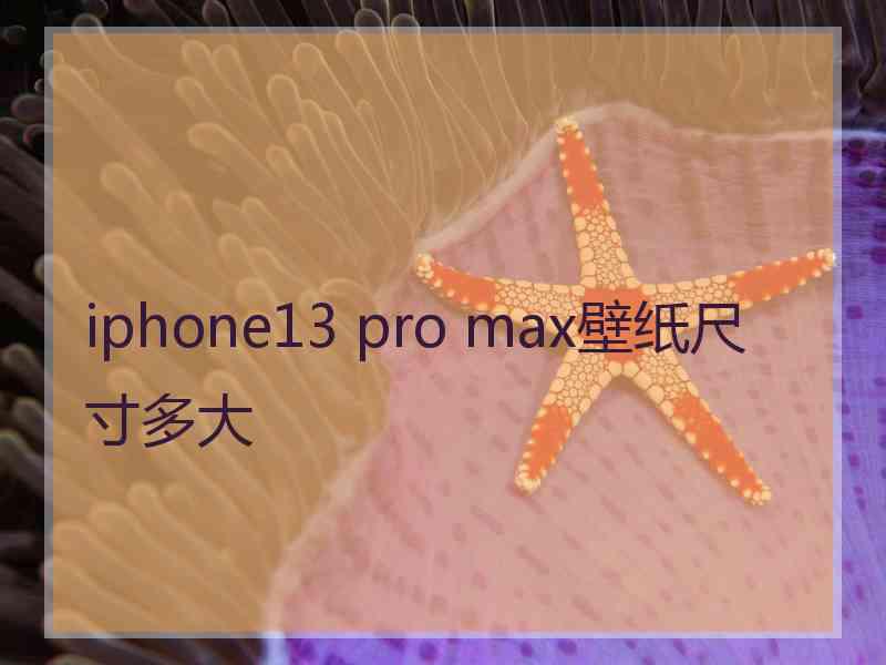 iphone13 pro max壁纸尺寸多大