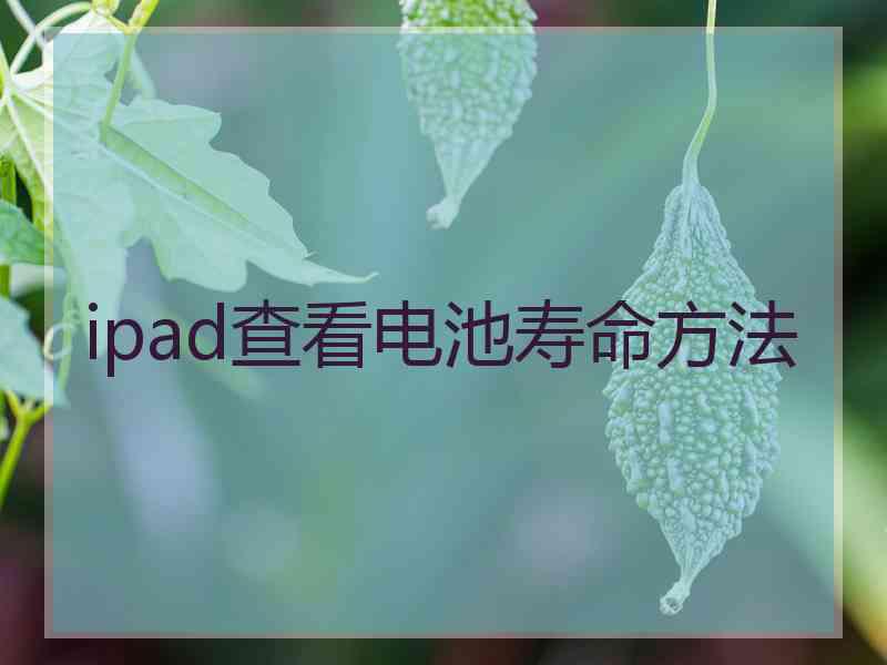 ipad查看电池寿命方法