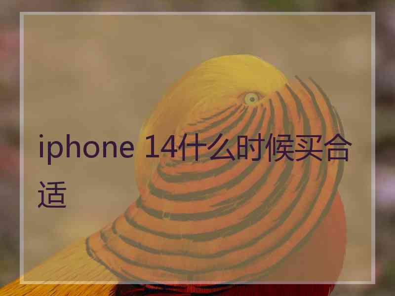 iphone 14什么时候买合适