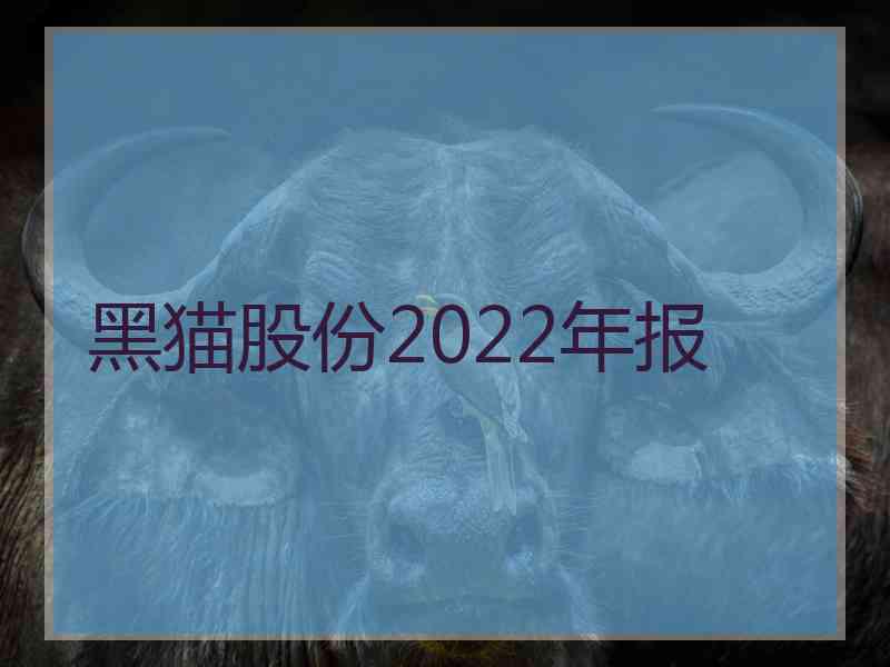 黑猫股份2022年报