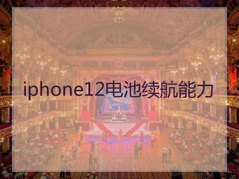 iphone12电池续航能力