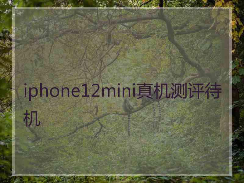 iphone12mini真机测评待机