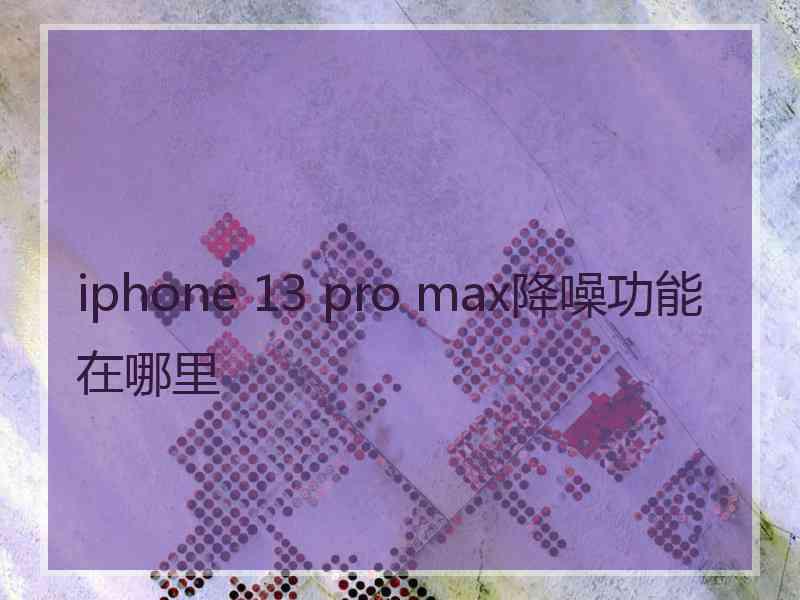 iphone 13 pro max降噪功能在哪里