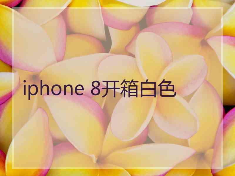 iphone 8开箱白色