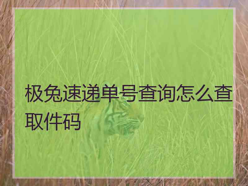 极兔速递单号查询怎么查取件码