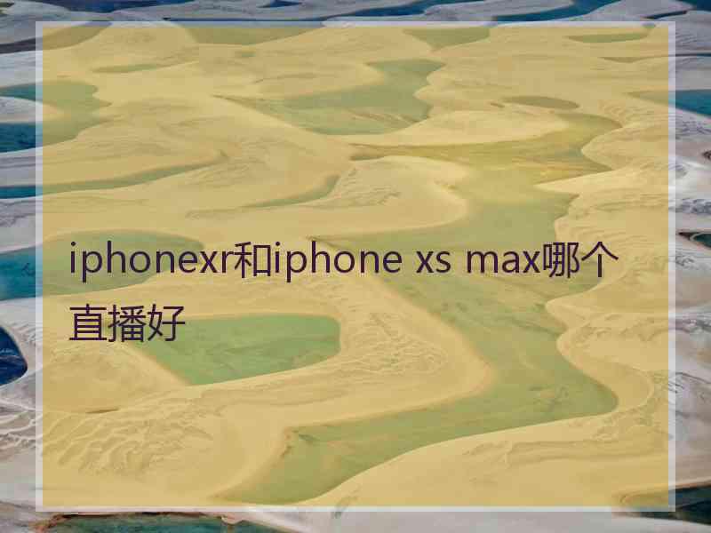 iphonexr和iphone xs max哪个直播好