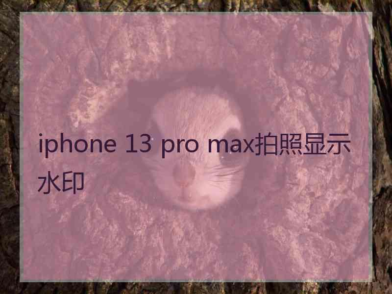 iphone 13 pro max拍照显示水印