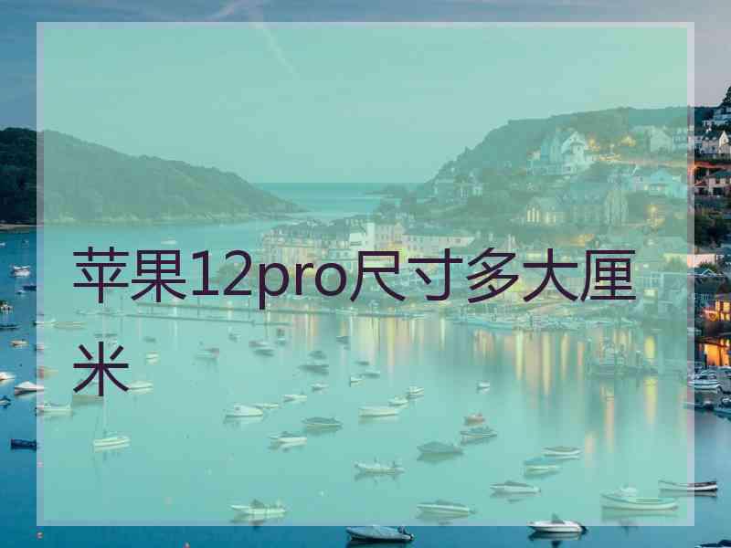 苹果12pro尺寸多大厘米