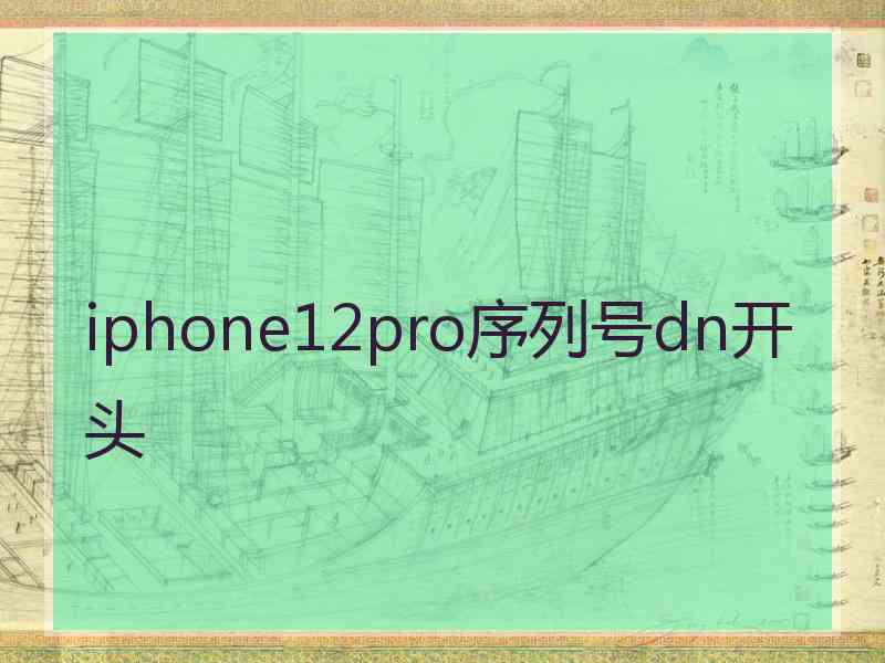 iphone12pro序列号dn开头