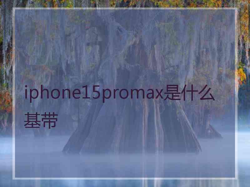 iphone15promax是什么基带